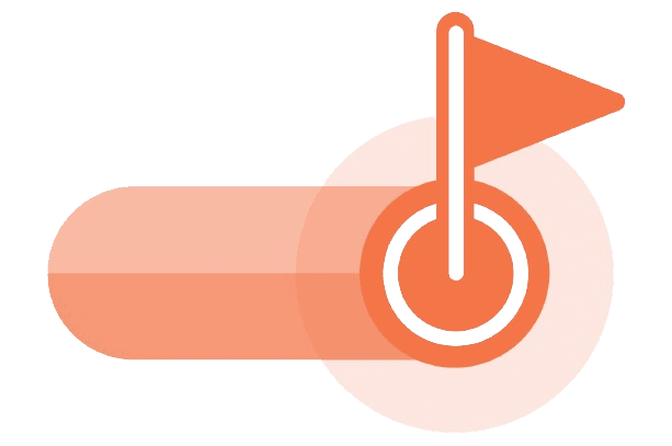 Feature Flag