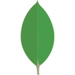 MongoDB