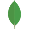 MongoDB